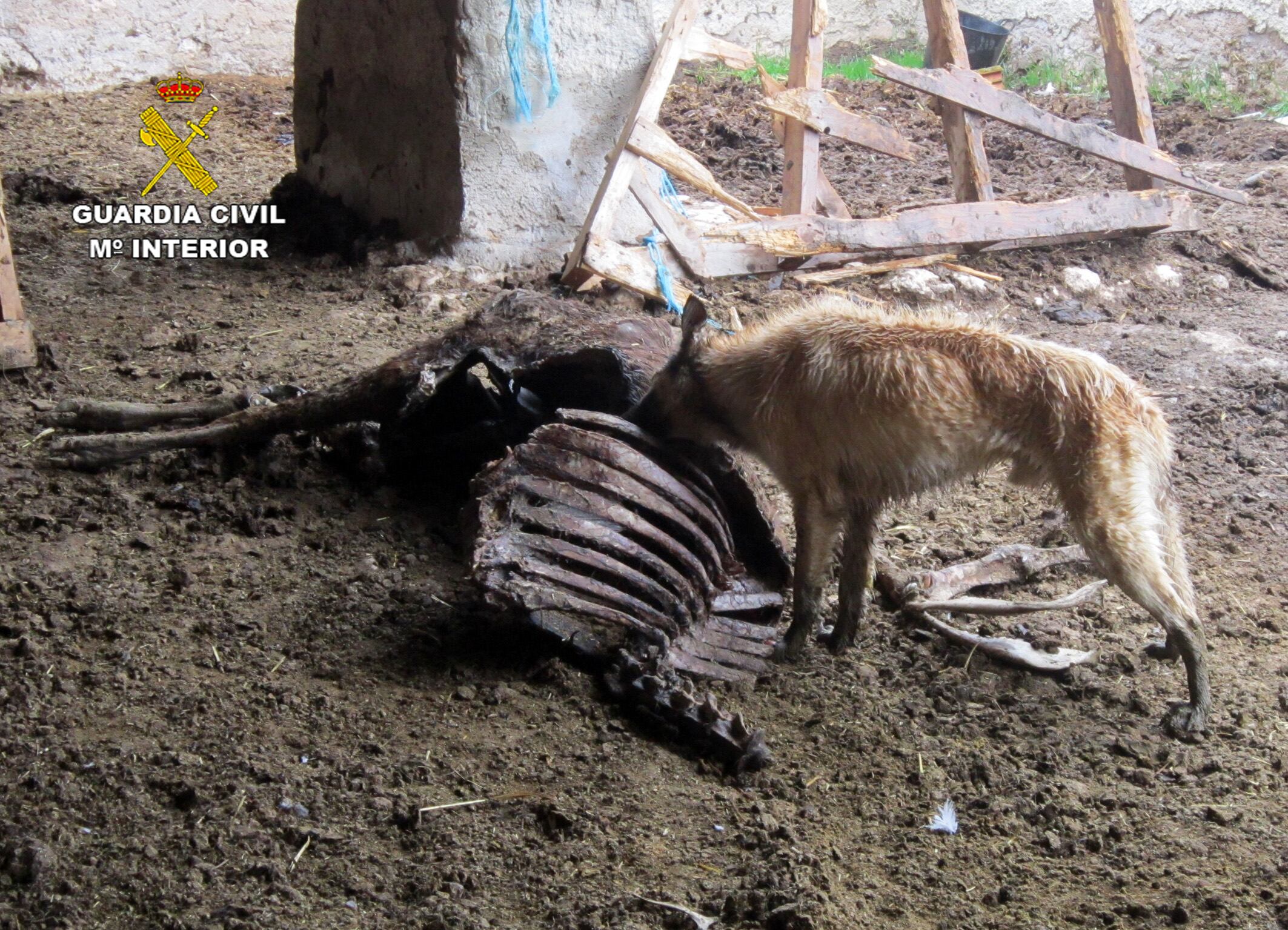 Imagen del estado de la explotación ganadera