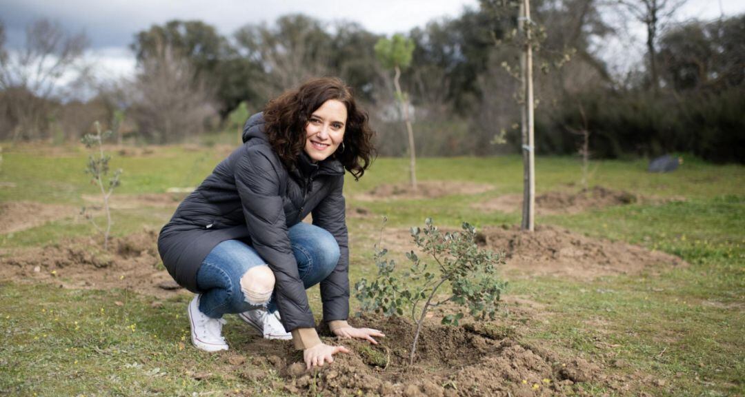 Hace justo un año, la presidenta de la Comunidad de Madrid, Isabel Díaz Ayuso, y alumnos del colegio público Príncipe Don Felipe de Boadilla del Monte, participaron en el inicio del proyecto &#039;Arco Verde&#039; con la plantación de los primeros 350 árboles.