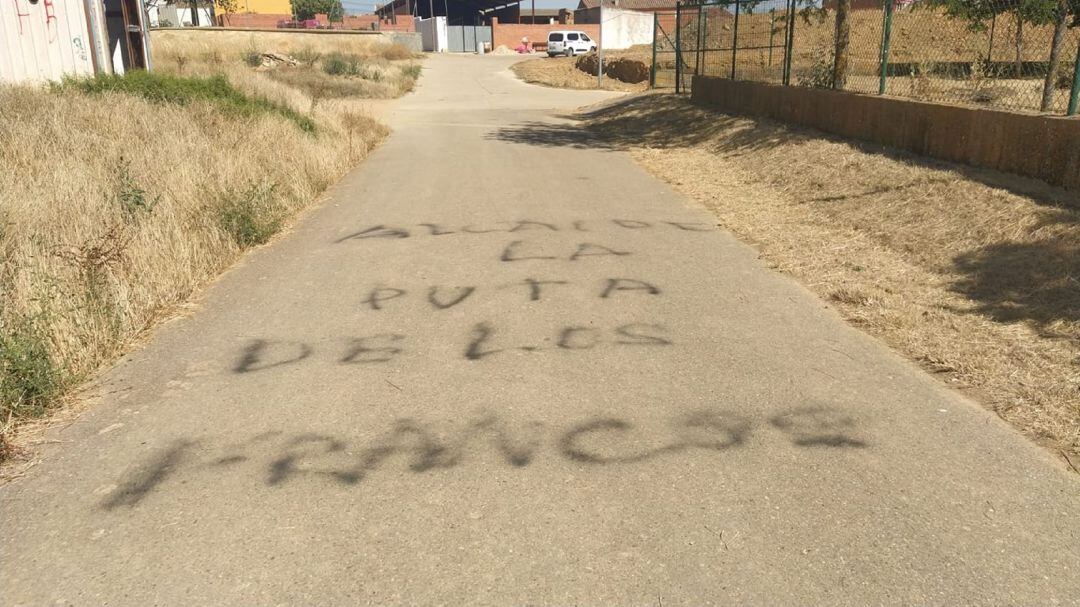 Pintada aparecida en Revenga de Campos (Palencia)