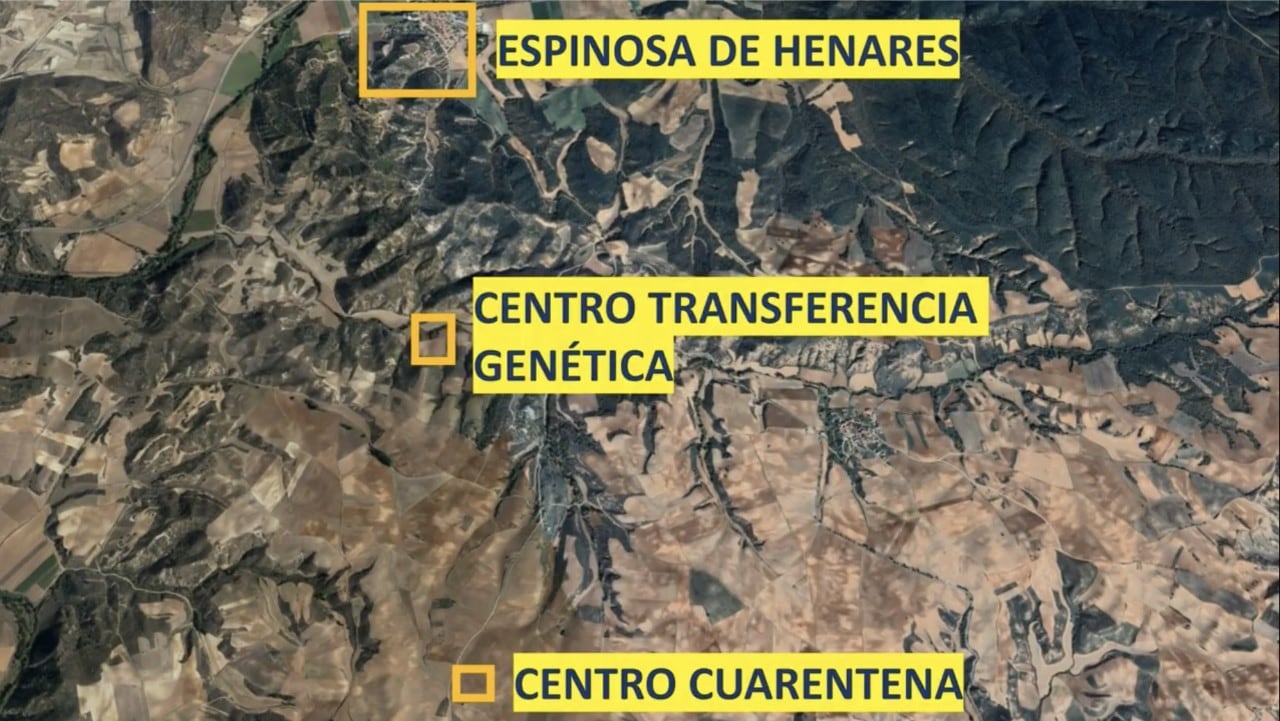 Ubicación instalaciones Semen Cardona