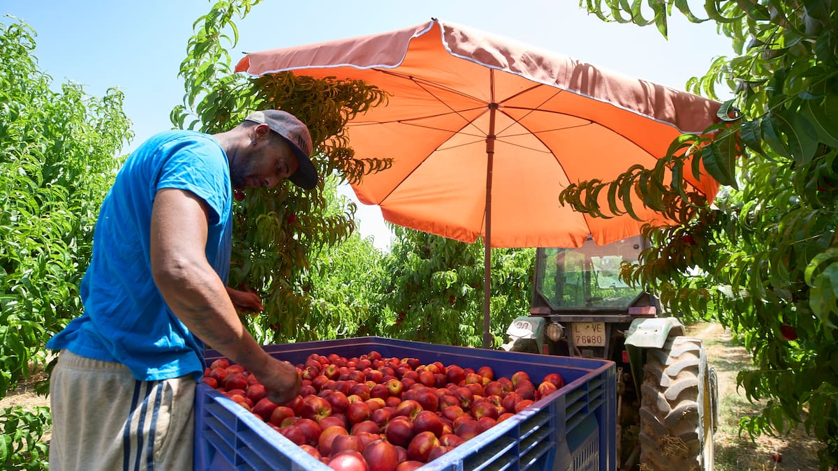 Cómo se combate el calor desde el trabajo en Aragón