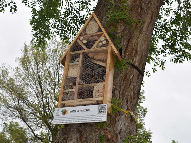 Hotel para insectos del parque Gasset de Ciudad Rea