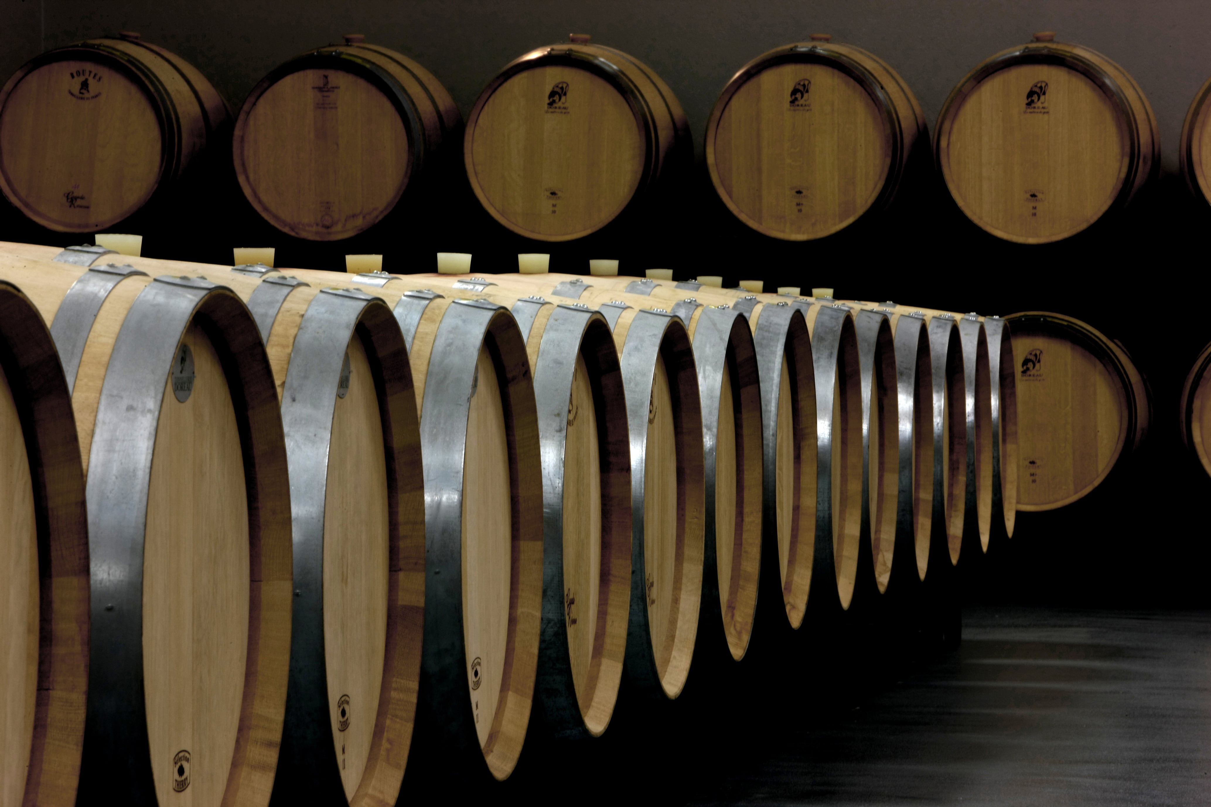 Sala de barricas de la Bodega Eldoze dentro de la DOP Rosalejo