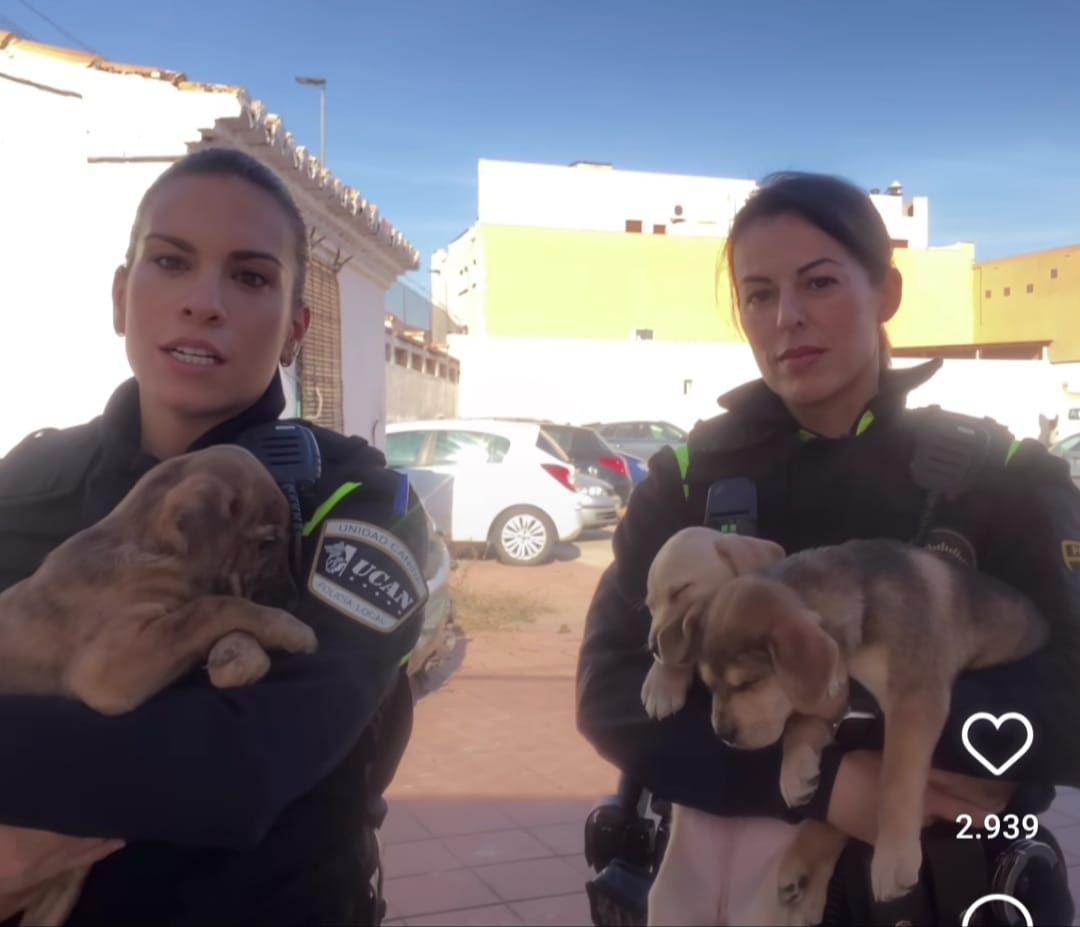 Dos agentes de la Policía Local de la Vall d&#039;Uixó mostrando a tres cachorros abandonados en un contenedor en una publicación de Instagram