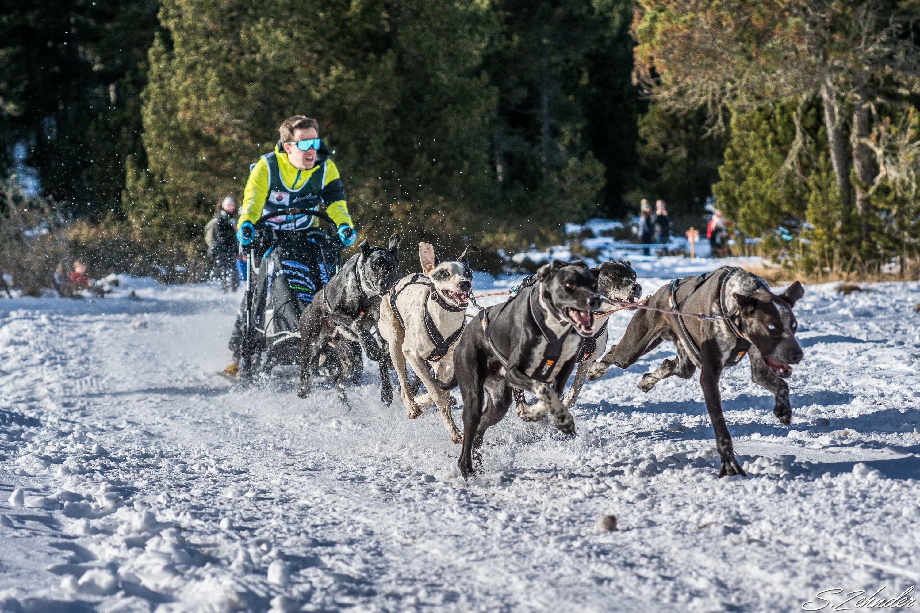 El musher olvegueño Jorge García, en plena competición.