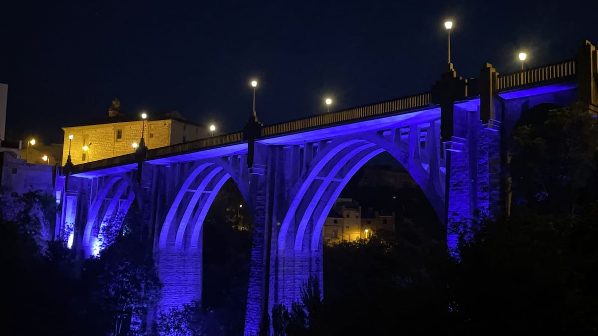 Entrevista a la presidenta de Inclou-TEA, Núria Cantavella