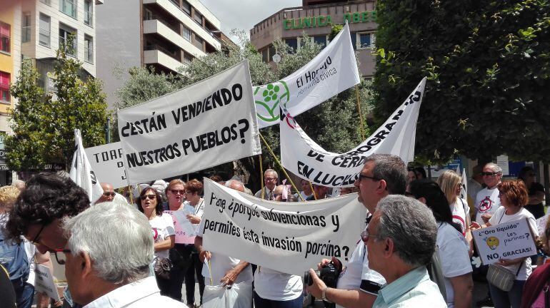 Manifestación 