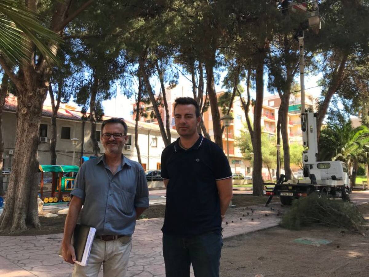 Elda pone en marcha la contratación de urgencia para revisar el arbolado