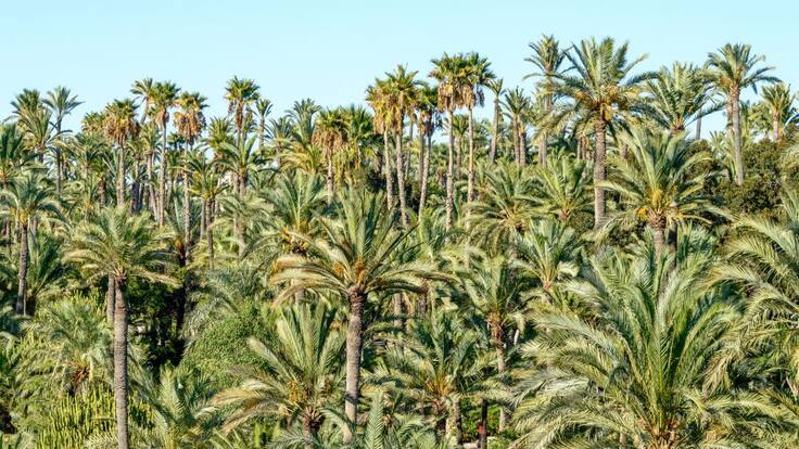 Ser Viajeros Comunitat Valenciana (27-02-2021)