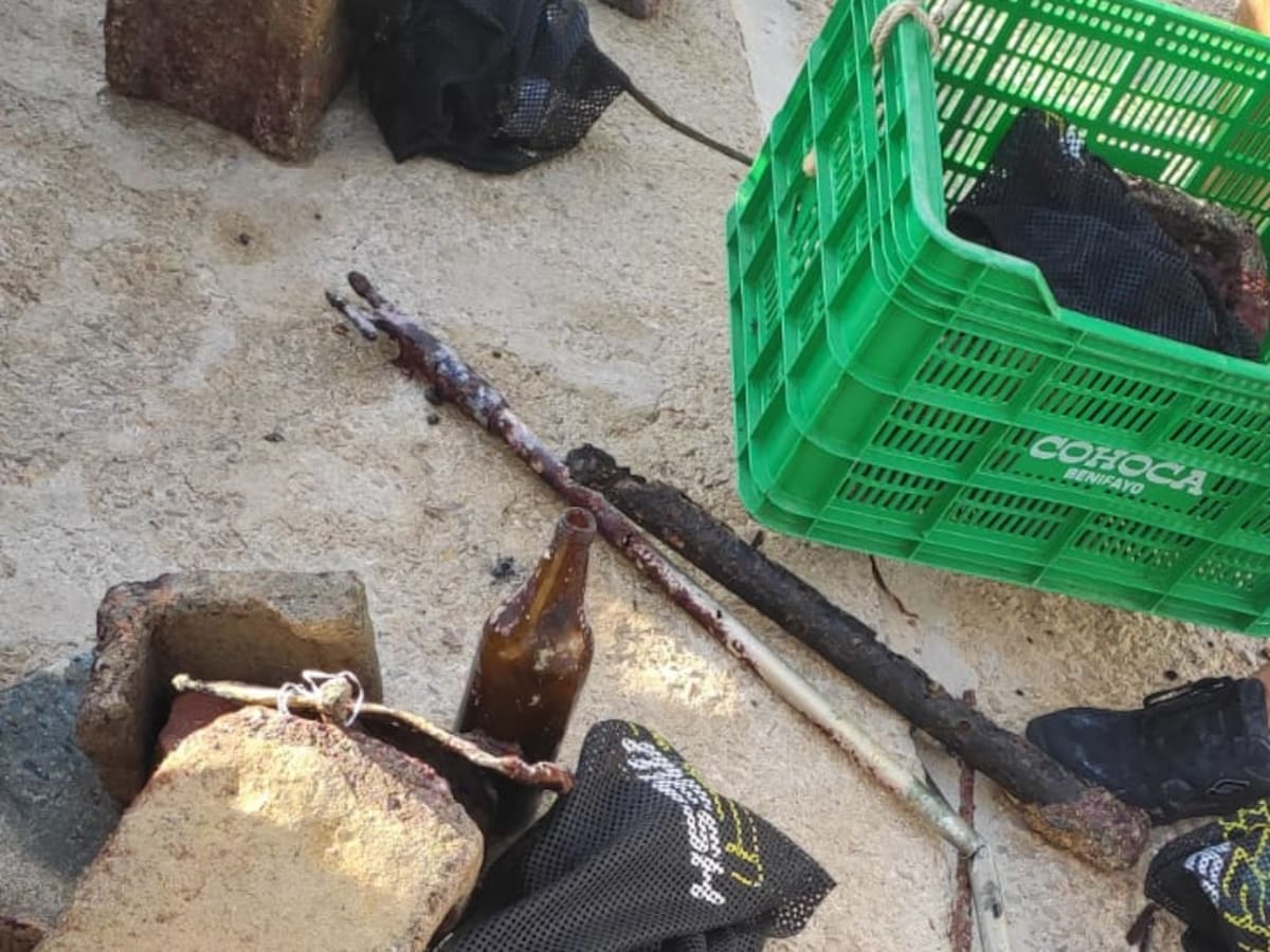 Extraen 100 kilos de basura del mar en Ibiza como el programa 'vive la posidonia'