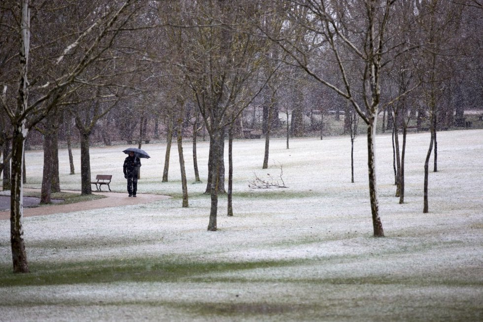 Un hombre pasea por la Dehesa de Olarizu, a las afueras de Vitoria, durante la última nevada del mes de enero