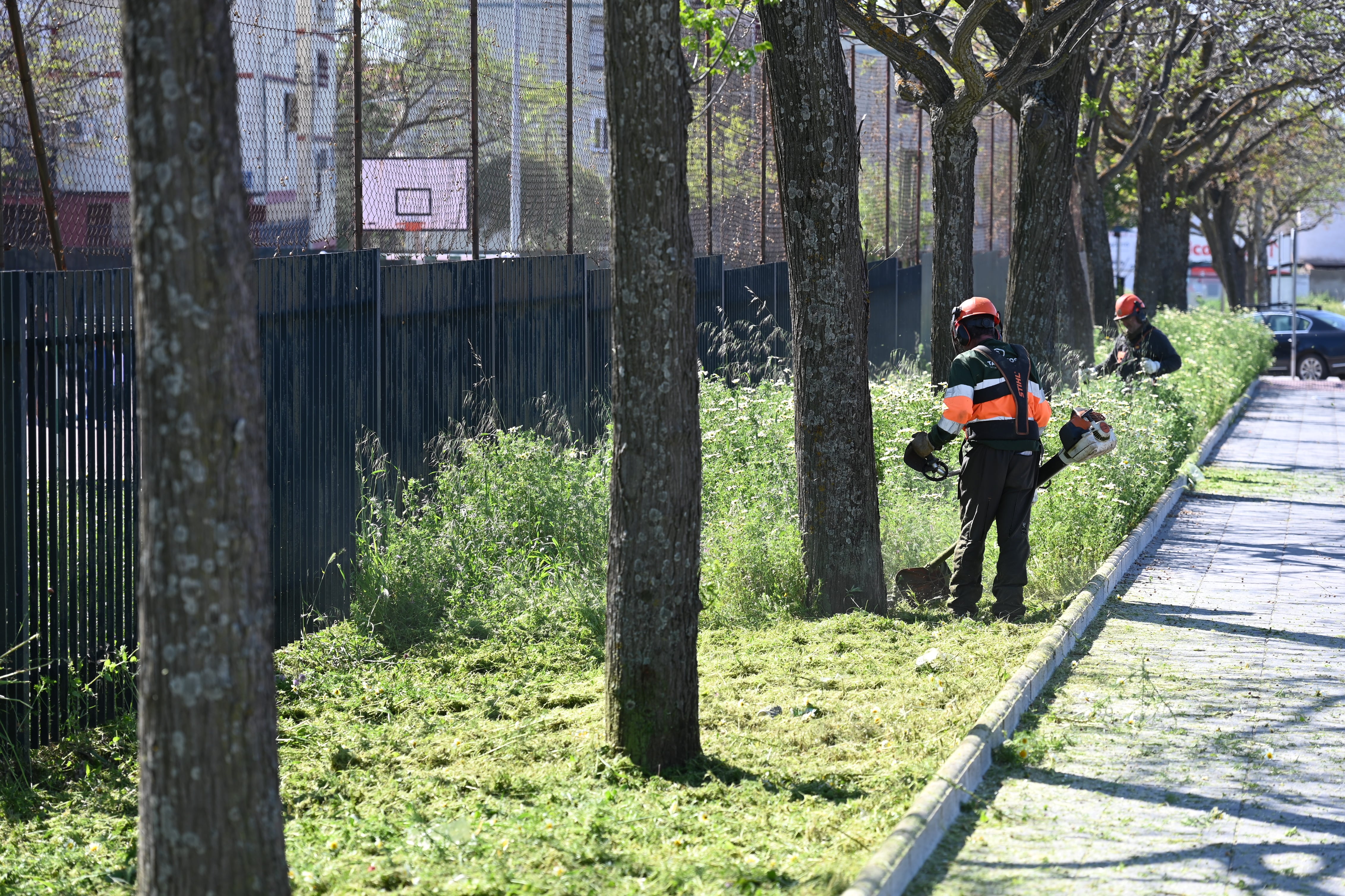 Trabajos de desbroce en la barriada de Arrayanes de Linares.