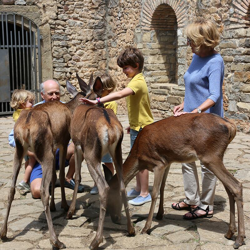 actividad de Educación Medioambiental y Social
