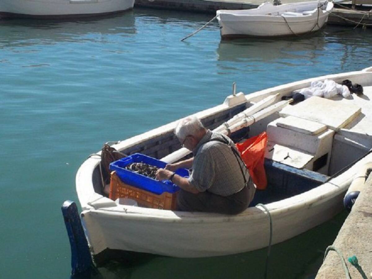Los pescadores de San Pedro del Pinatar advierten de la reducción de especies en el Mar Menor