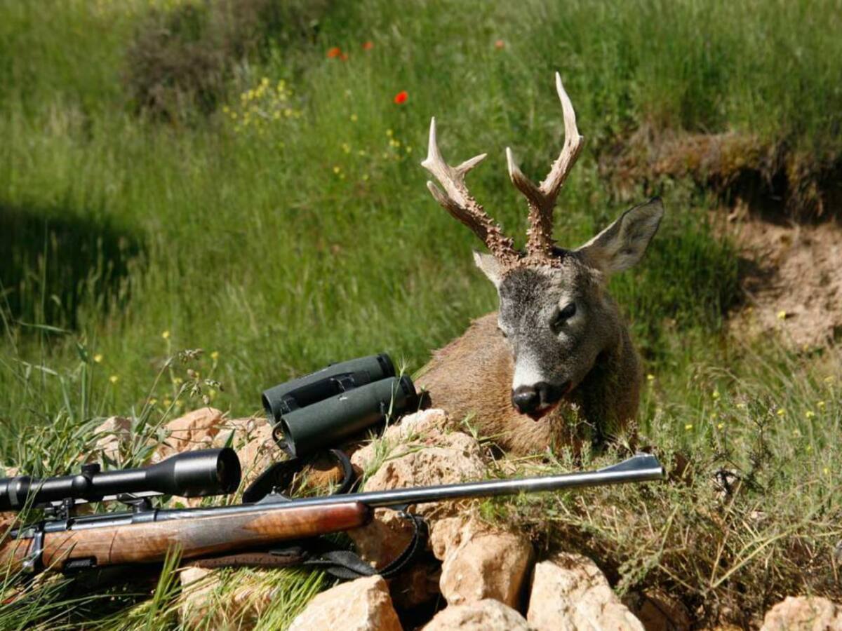 La Junta de la Reserva de Urbión informa favorablemente de la Memoria de Resultados de la temporada 2019-2020