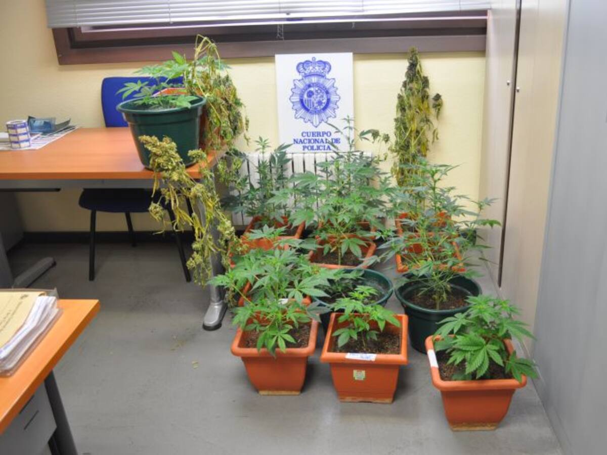 Detenidos dos hombres en Palencia por hechos relacionados con drogas