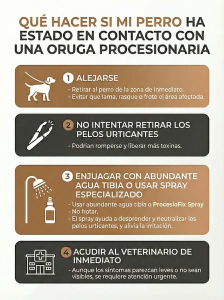 Qué hacer si mi perro ha estado en contacto con una oruga procesionaria