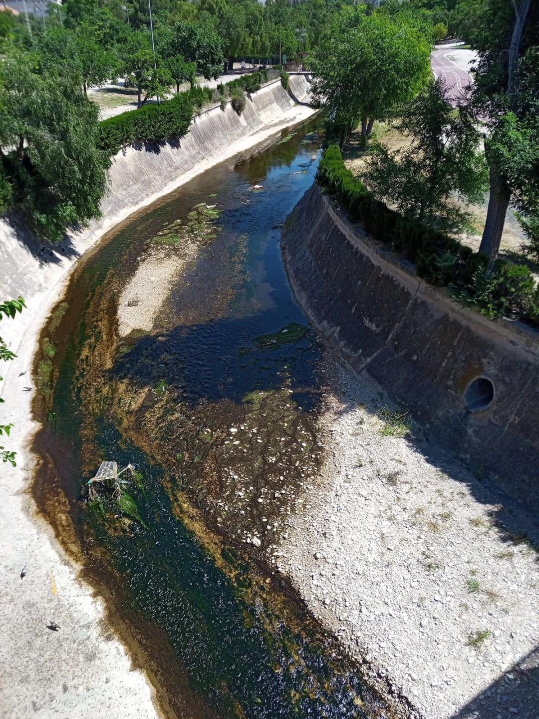 Suciedad en el río Vinalopó 