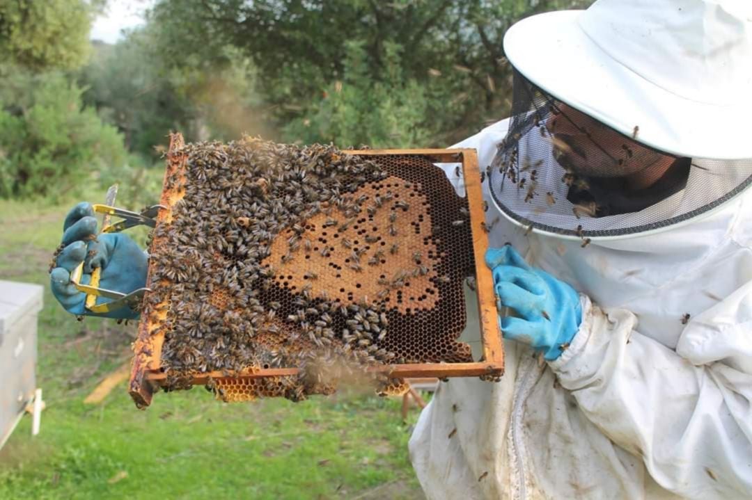 Álvaro Duarte junto a uno de sus panales de abejas.