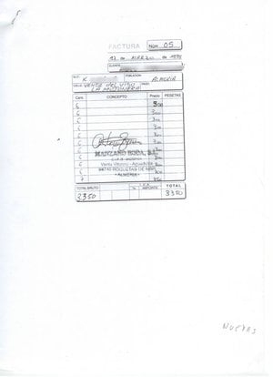 Datos de la factura con fecha 17 de marzo de 1999 que fue presentada para luego regularizar su situación. Los datos del cliente han sido borrados para mantener su anonimato.