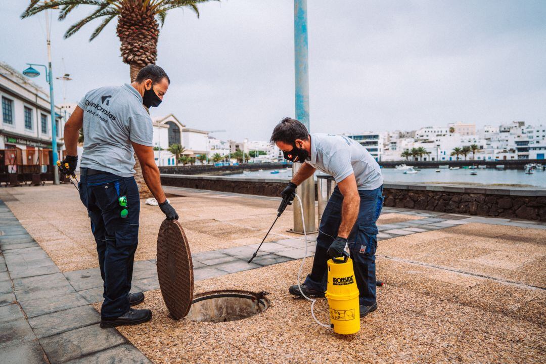 Operarios realizando labores de fumigación en el Charco de San Ginés.