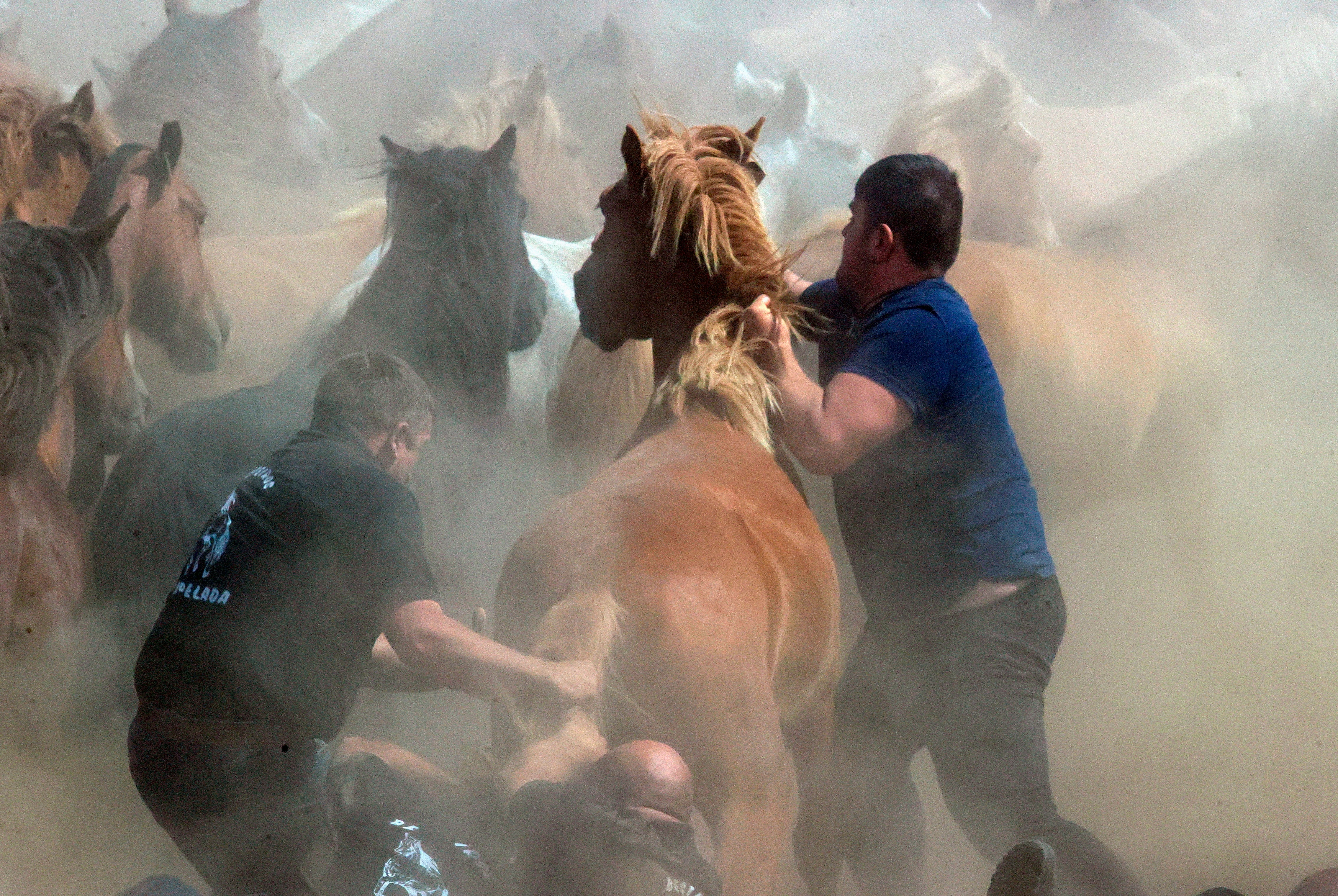 CEDEIRA, 04/06/2023.- Cedeira celebra este domingo su emblemática Rapa das Bestas en el curro de la sierra de A Capelada, que adquirió más popularidad gracias a la serie televisiva &quot;Rapa&quot;, protagonizada por Javier Cámara y Mónica López. EFE/ Kiko Delgado.