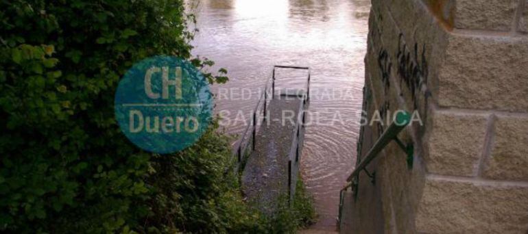 Imagen del Duero a su paso por San Miguel del Pino