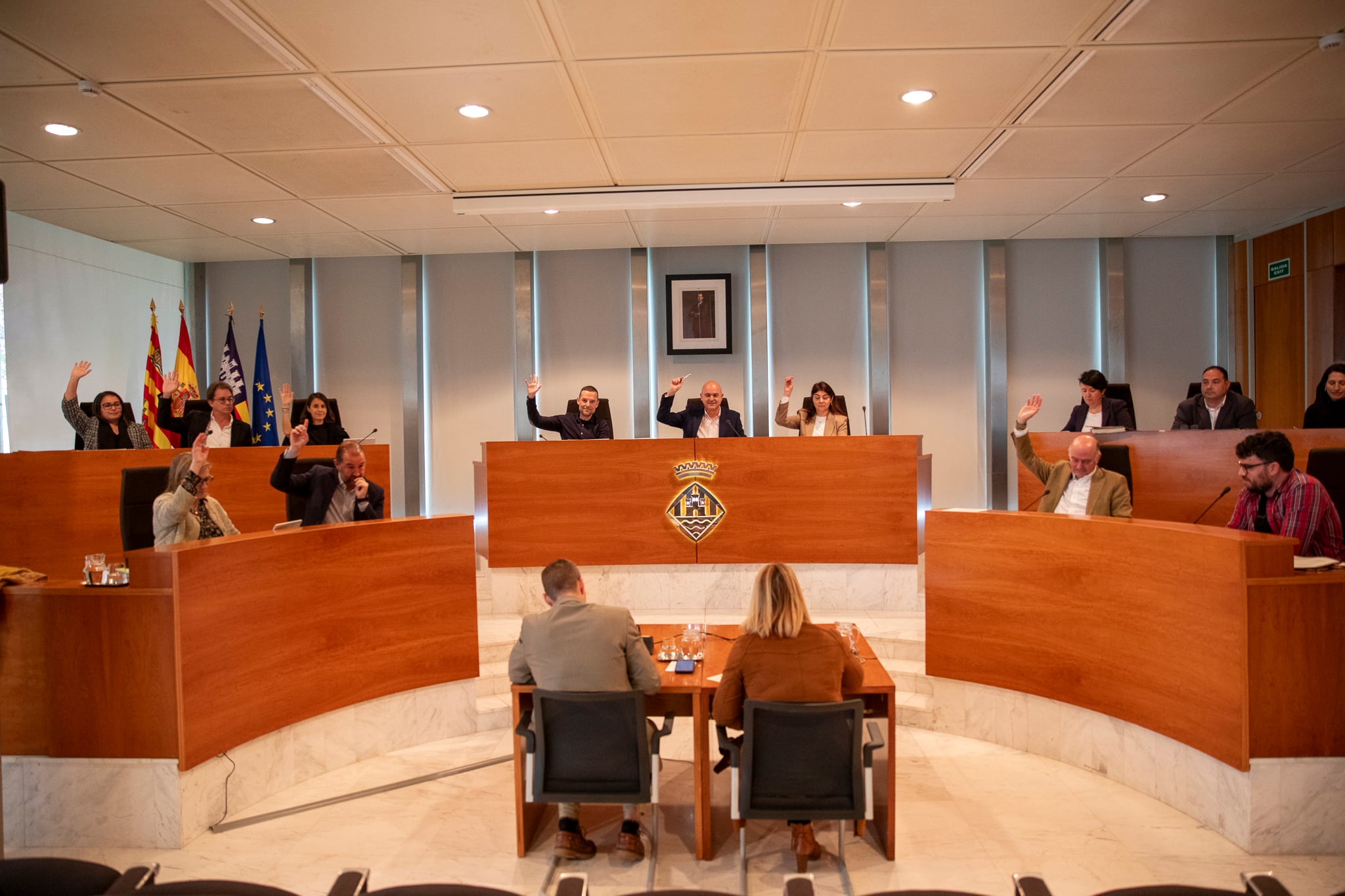 Imagen del pleno del Consell Insular