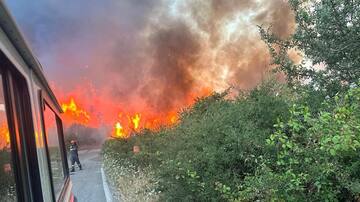 "Si no hubiésemos calentado el planeta, esto pasaría cada 200 o 300 años": la tajante opinión de un experto sobre la ola de incendios en el Mediterráneo