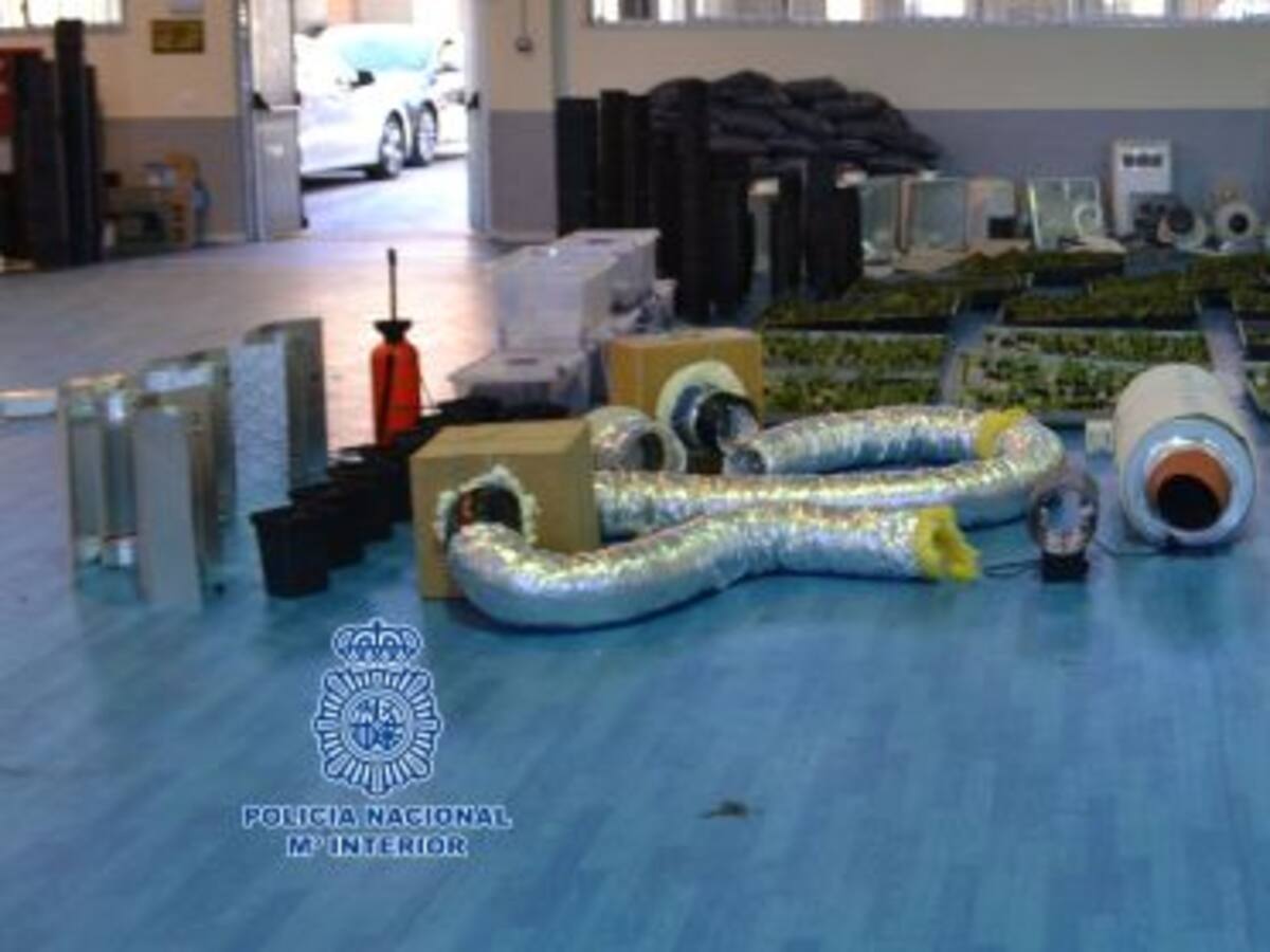 Desmantelado un laboratorio de marihuana en Toledo