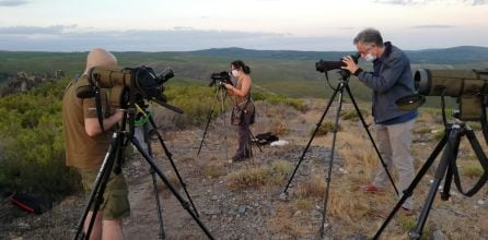 Observando lobos en la Sierra de la Culebra (Zamora)