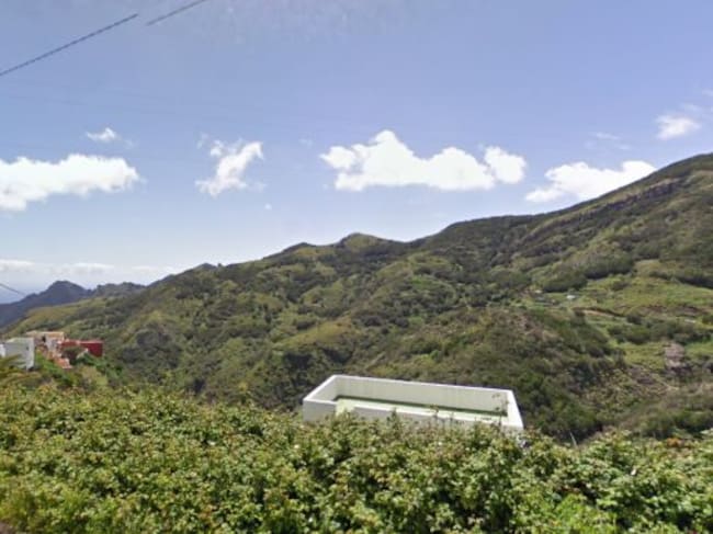 Lobo de las Bodegas, Anaga (Tenerife)