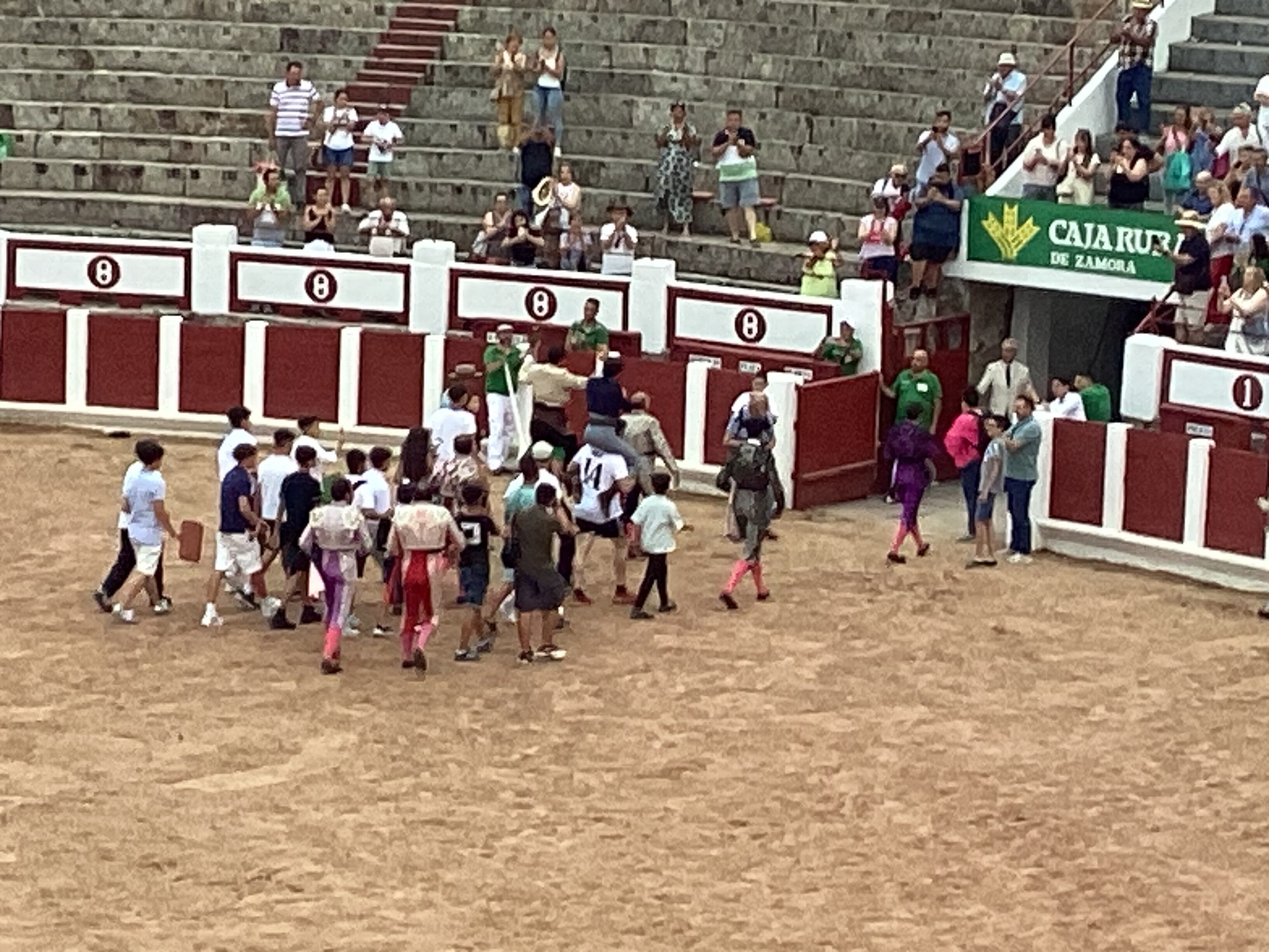 Hermoso de Mendoza y Pérez De Gregorio enfilan la Puerta Grande