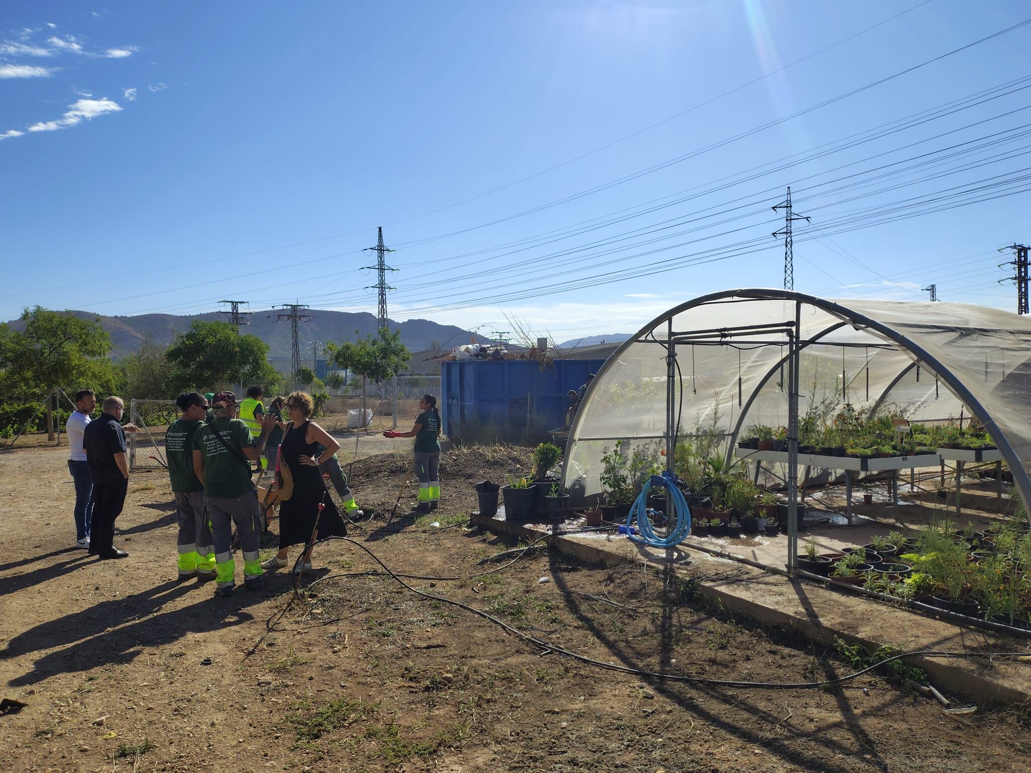 Taller jardinería 2025