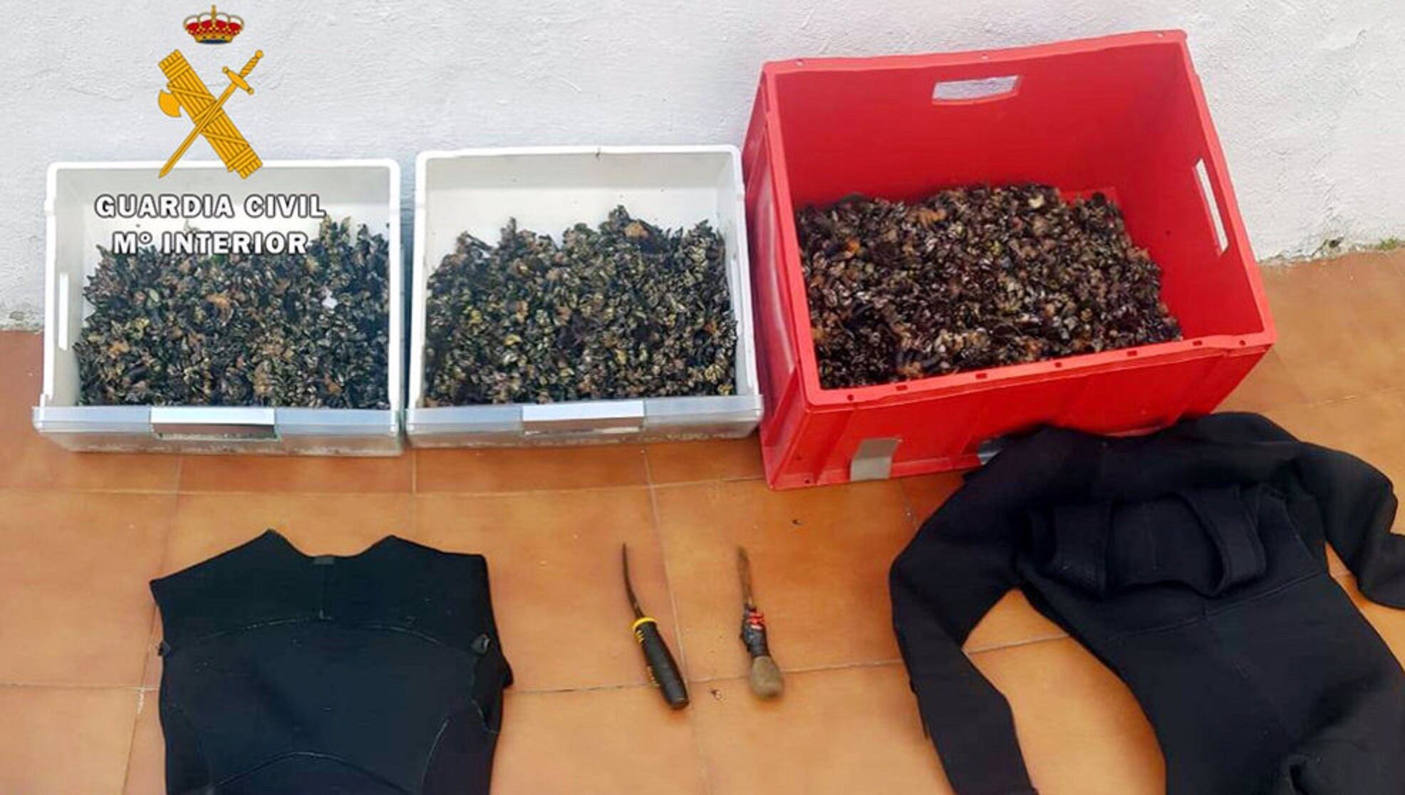 Percebes incautados en septiembre del año pasado en Cantabria cuando dos hombres fueron sorprendidos por la Guardia Civil en una zona de especial protección en la Punta de Sonabia.