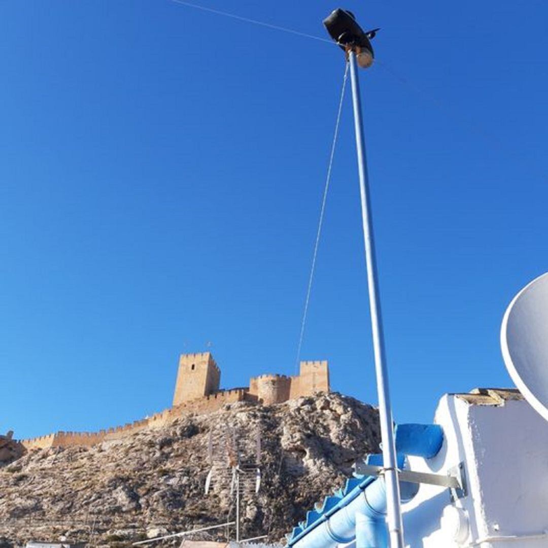 Estación Meteorológica en Sax 