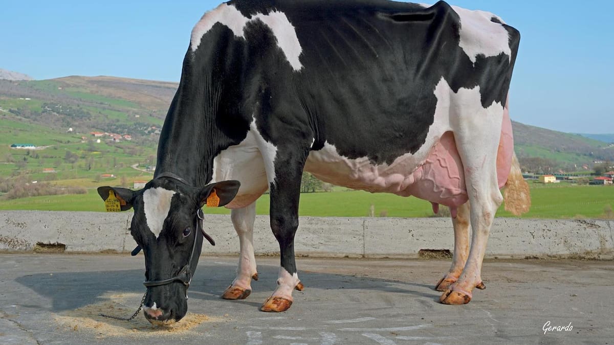 "La tecnología nos ha dado libertad y tiempo libre"