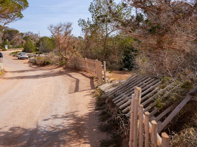 Imagen de los desperfectos