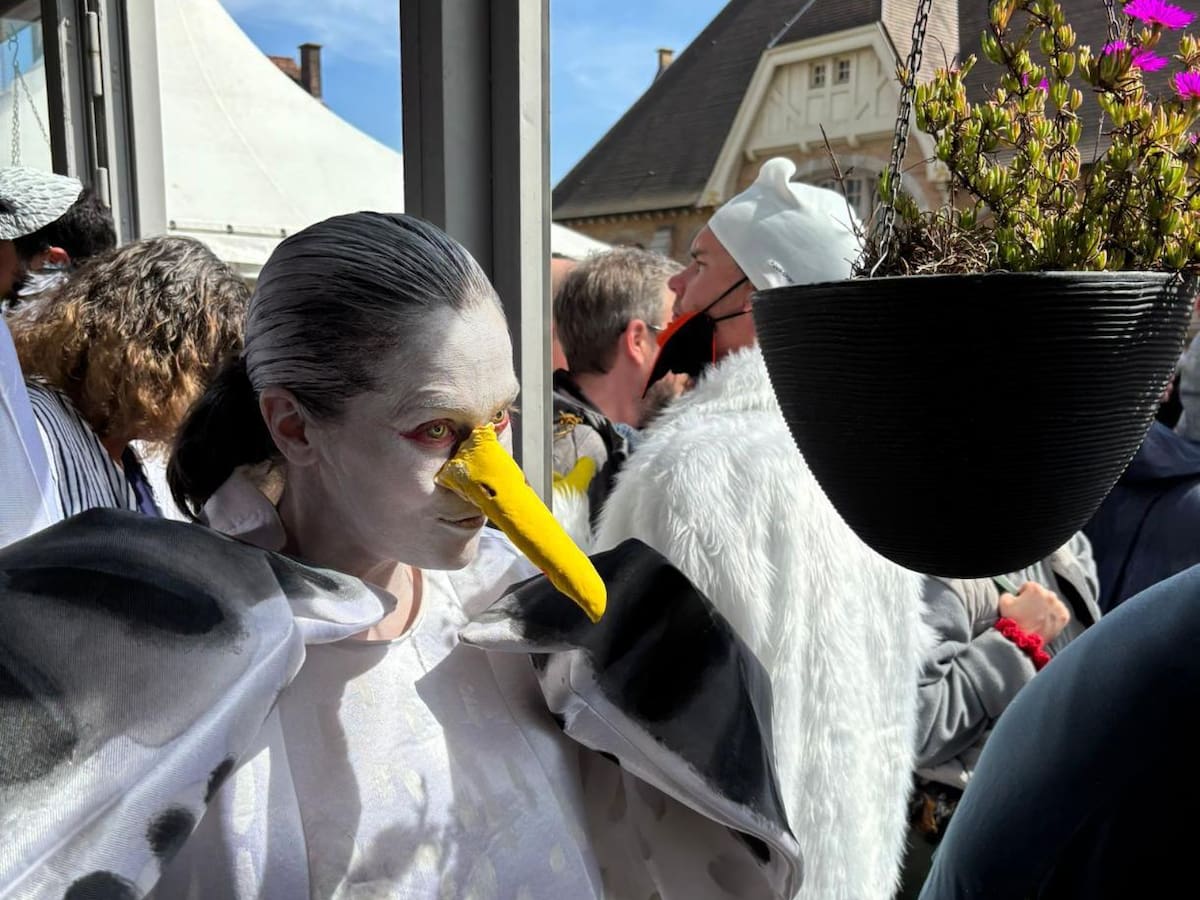 Vigo conquista Europa en el campeonato de graznidos de gaviotas