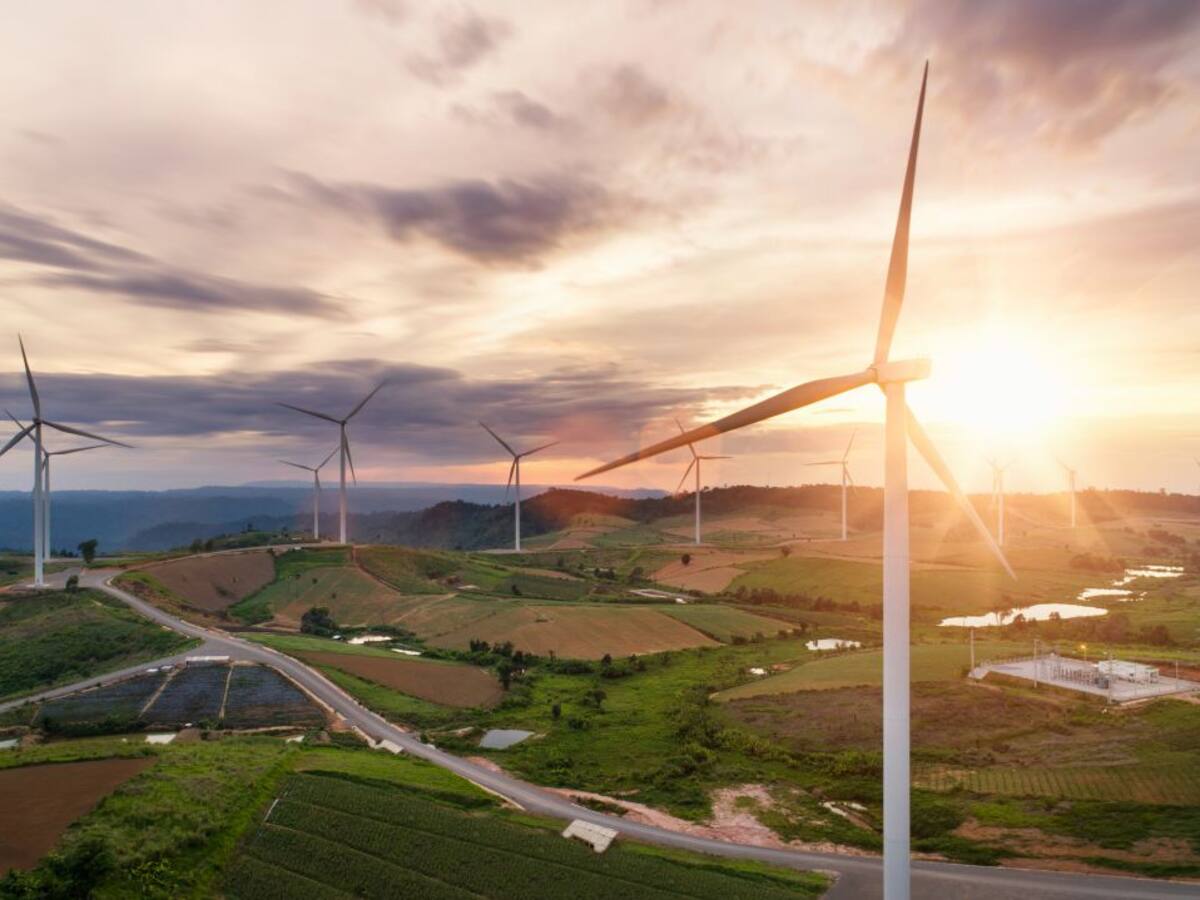 ANÁLISIS DEL PLAN DE TRANSICIÓN ECOLÓGICA