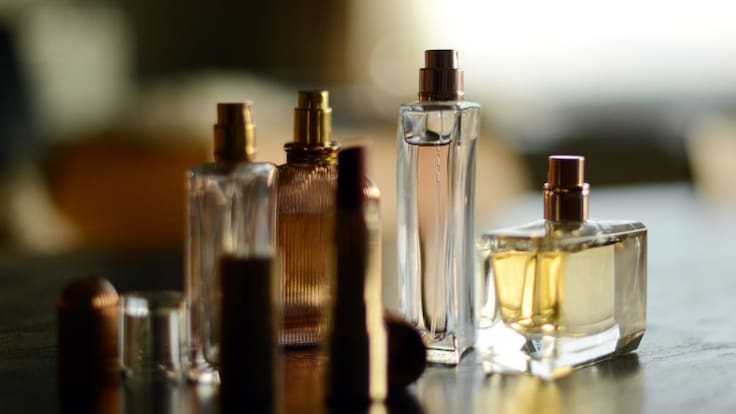 Camino de Ítaca: Diógenes de la vida moderna