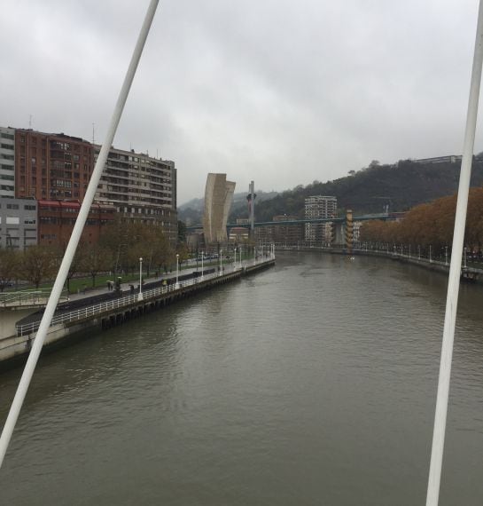 La ría de Bilbao desde el Puente de Calatrava