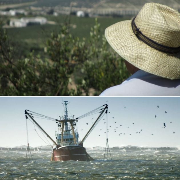 Balance del año en el sector agrario y pesquero de Andalucía