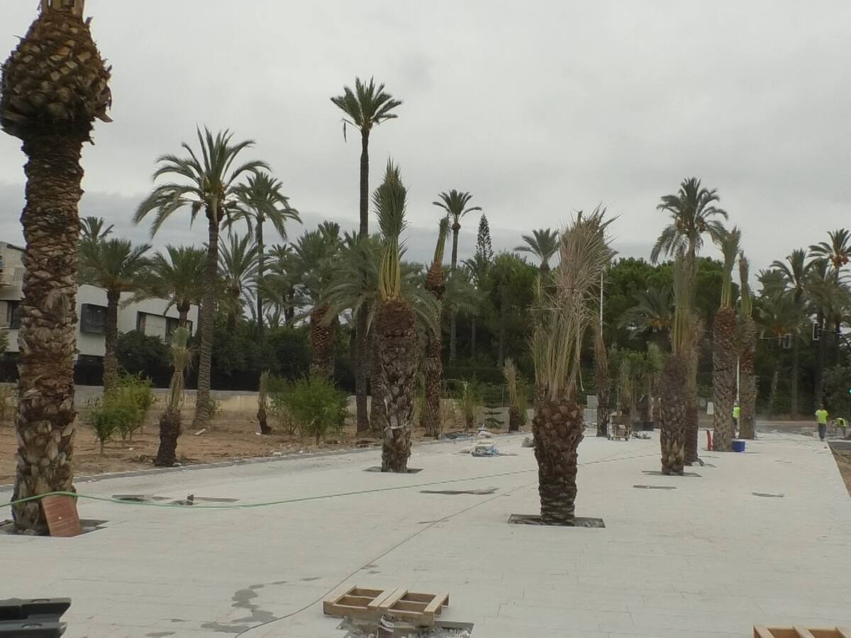 El Hort de Rastoll se abrirá a finales del mes de octubre