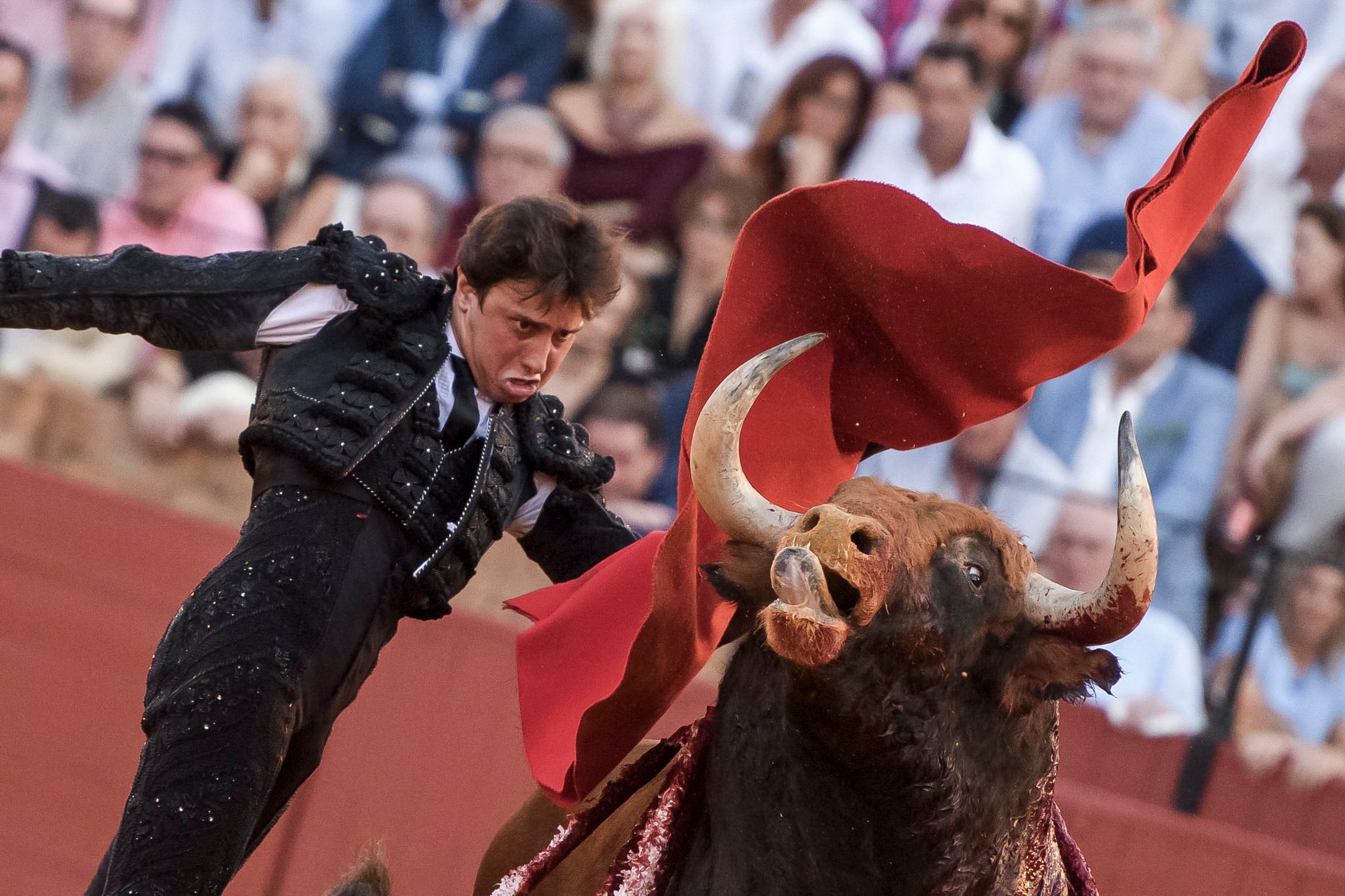 SEVILLA, 28/09/2024.- El diestro Roca Rey en su primer toro de la tarde en el festejo 23 de abono perteneciente a la Feria de San Miguel, en la plaza de la Maestranza de Sevilla. EFE/ Raúl Caro
