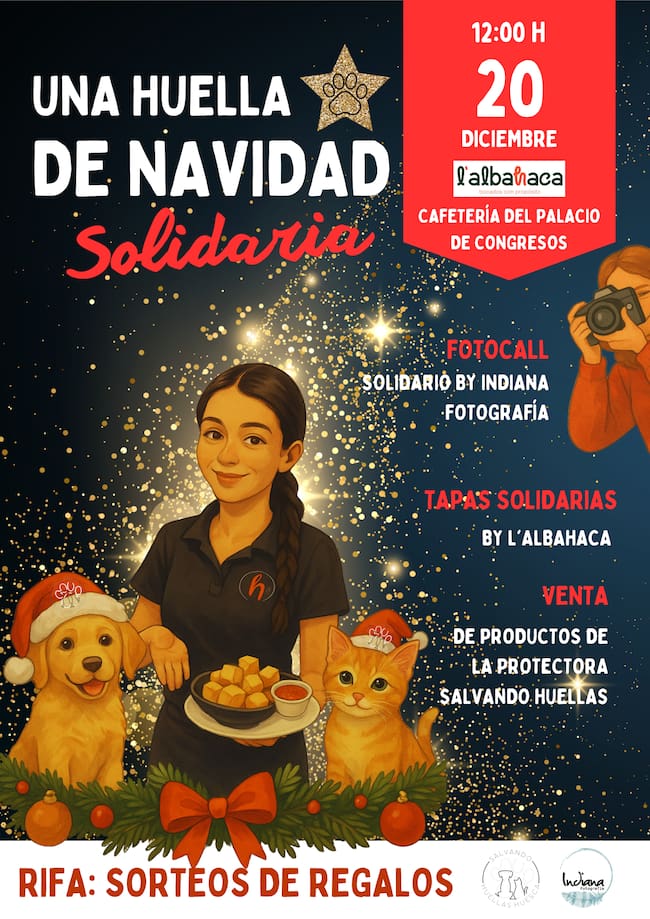 Cartel anunciador de la fiesta solidaria de Salvando huellas