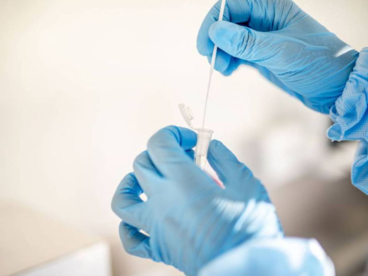 Euskadi mantiene las restricciones de Navidad pero las volverá a revisar el 22 de diciembre