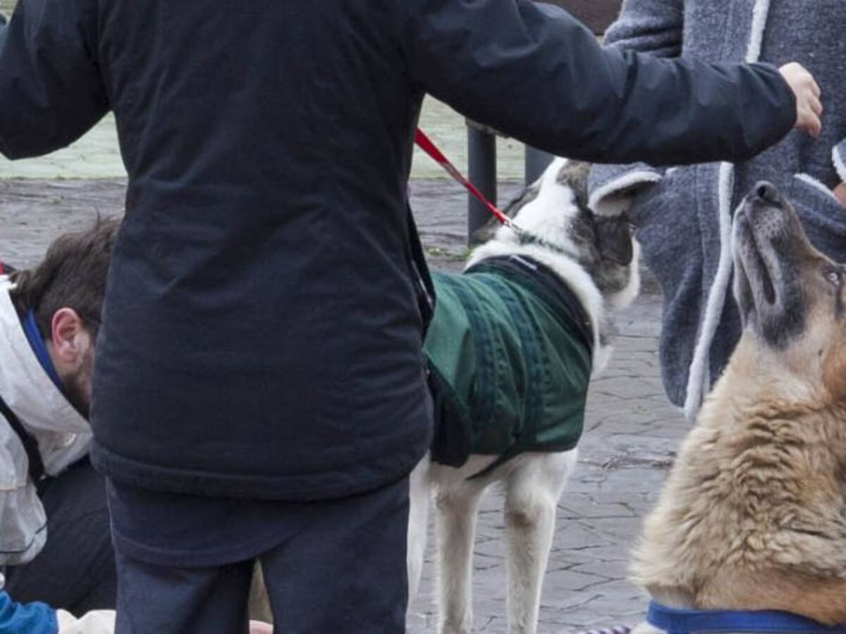 Más protección para los animales de Leganés