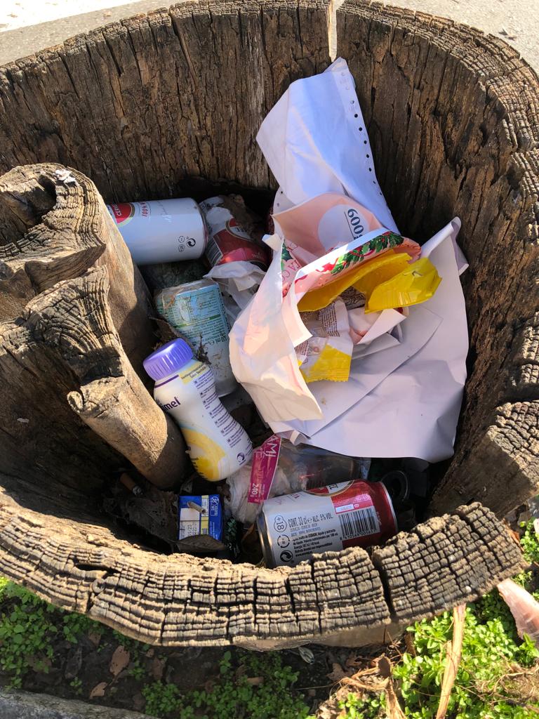 Tronco hueco y lleno de basura en la Avenida Virgen Milagrosa de Córdoba