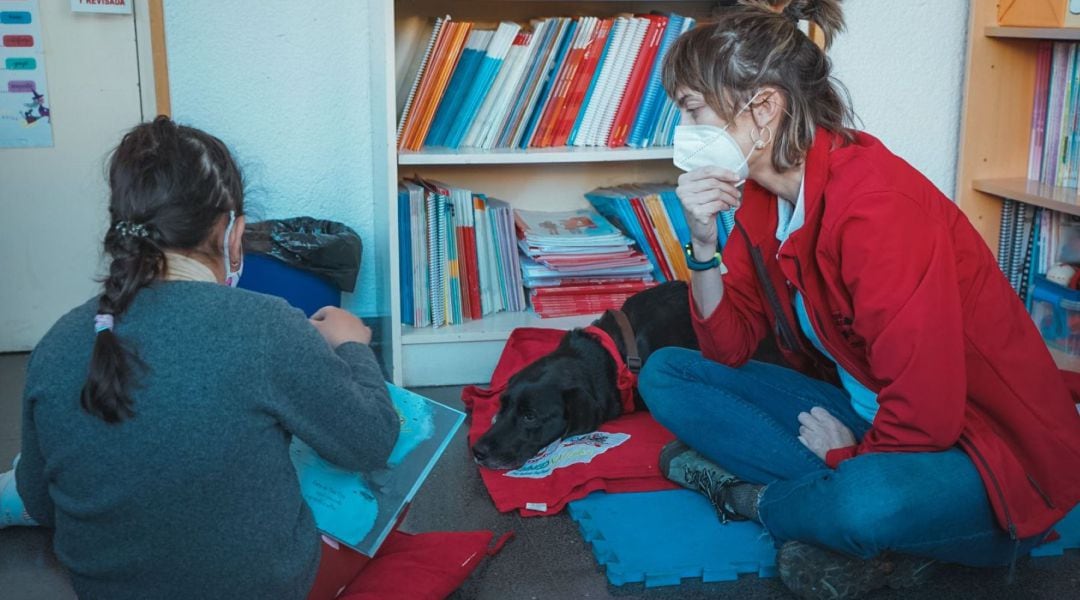 Medio centenar de alumnos de aulas TEA de Colmenar participan en un programa para mejorar la lectura con perros